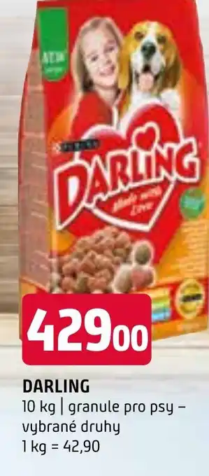 Terno DARLING nabídka