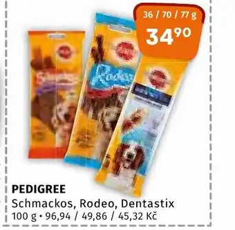 Terno PEDIGREE nabídka
