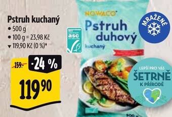 Albert Pstruh duhový nabídka