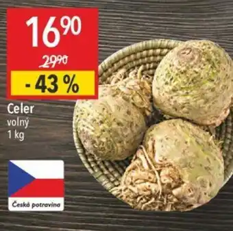 Globus Celer volný nabídka