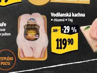 Albert Vodňanská kachna nabídka