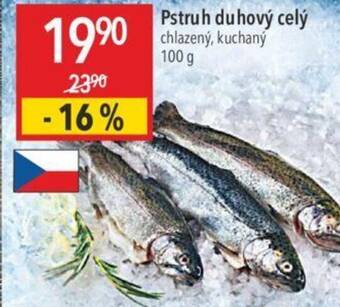 Globus Pstruh duhový celý nabídka