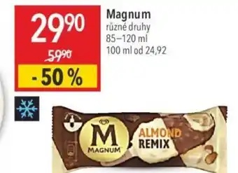 Globus Magnum nabídka