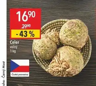 Globus Celer nabídka