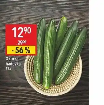 Globus Okurka hadovka nabídka