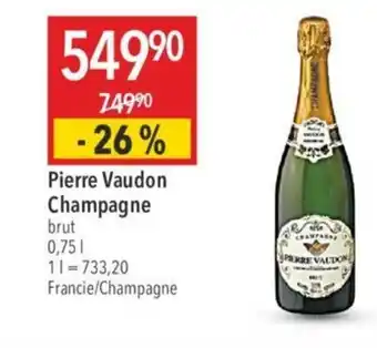 Globus Pierre Vaudon Champagne nabídka