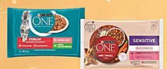 Globus Purina One kapsičky pro kočky a psy nabídka