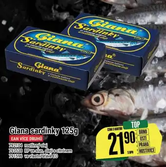 Giana sardinky 125g