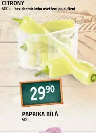 Terno Paprika bílá nabídka