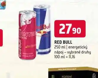 Terno Red bull nabídka