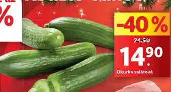 Okurka salátová