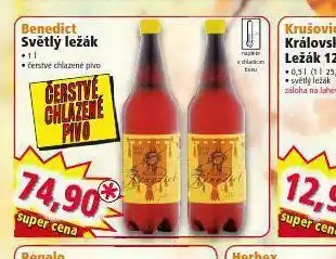 Norma Pivo benedict světlý ležák nabídka