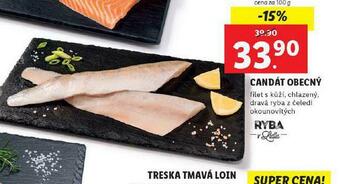 Lidl Candát obecný nabídka