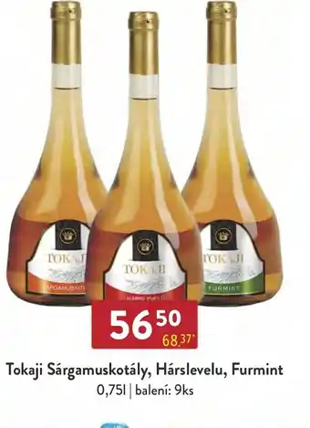 Qanto Tokaji Sárgamuskotály, Hárslevelu, Furmint 0,75L nabídka