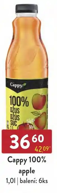Qanto Cappy 100% apple 1,0L nabídka