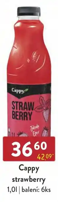 Qanto Cappy strawberry 1,0L nabídka