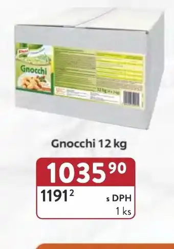 Qanto Gnocchi 12 kg nabídka