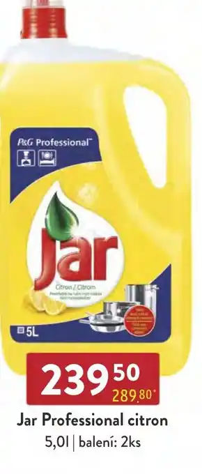 Qanto Jar Professional citron 5,0L nabídka