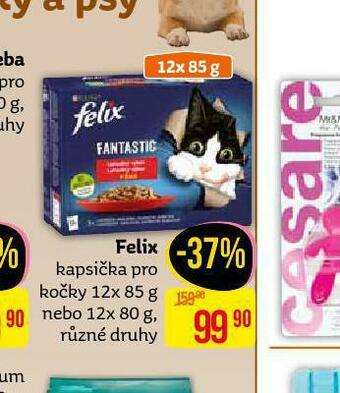 Teta Felix kapsičky pro kočky nabídka