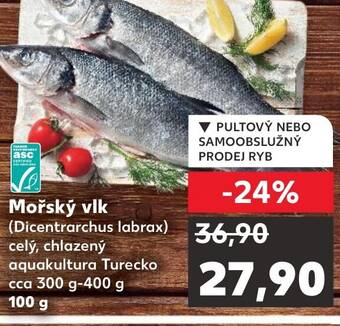 Kaufland Mořský vlk nabídka