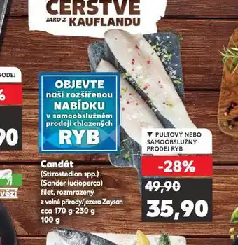Kaufland Candát nabídka