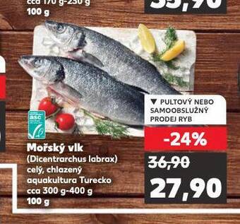 Kaufland Mořský vlk nabídka