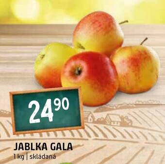 Terno JABLKA GALA nabídka
