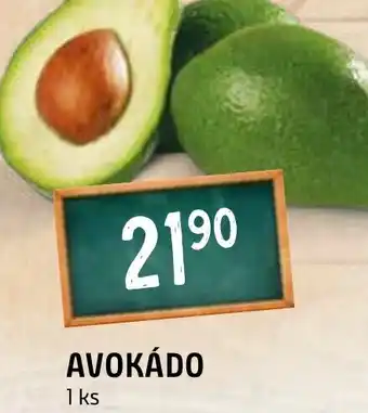 Terno AVOKÁDO nabídka