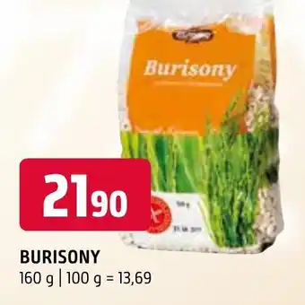 Terno BURISONY nabídka