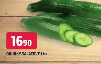 Trefa OKURKY SALÁTOVÉ 1 ks nabídka