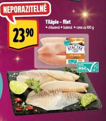 Albert Tilápie - filet nabídka