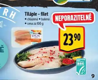 Albert Tilápie filet nabídka