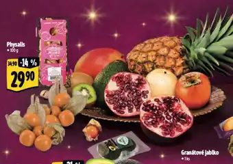 Albert Physalis nabídka