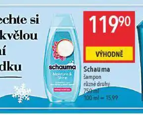 Globus Schauma šampon nabídka