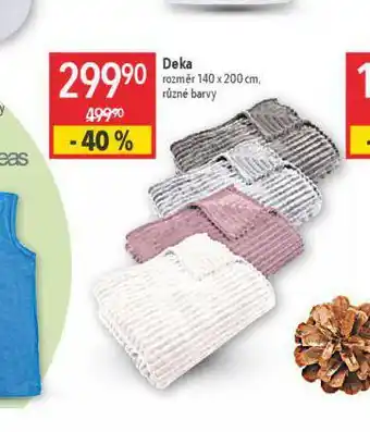 Globus Deka nabídka