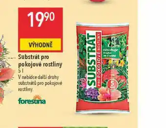 Globus Substrát pro pokojové rostliny nabídka