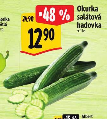 Albert Okurka salátová hadovka nabídka