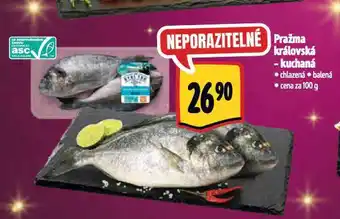 Albert Pražma královská nabídka