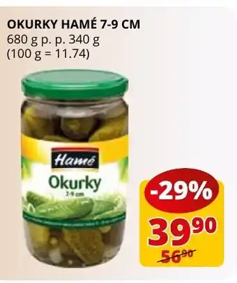 Flop OKURKY HAME 7-9 CM nabídka