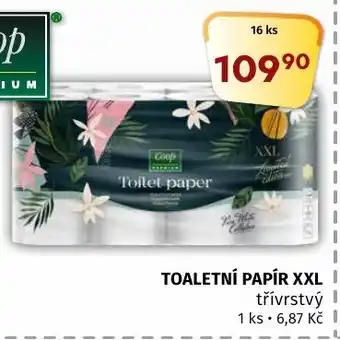 Terno TOALETNÍ PAPÍR XXL nabídka