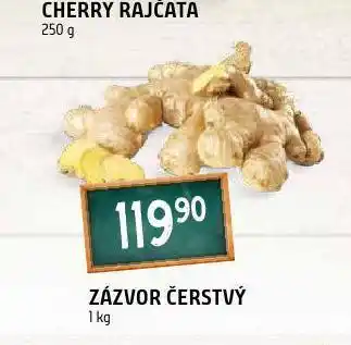 Terno Zázvor čerstvý nabídka