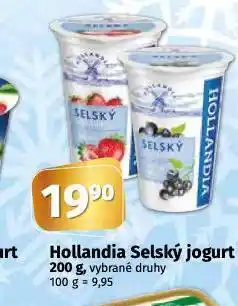 Hollandia selský jogurt