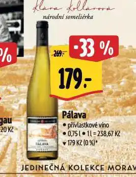 Albert Pálava nabídka