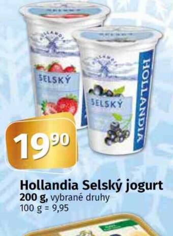 Konzum Hollandia Selský jogurt nabídka