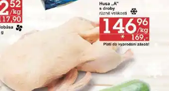 Jip Husa A s droby různé velikosti nabídka