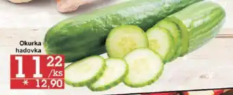 Jip Okurka hadovka nabídka