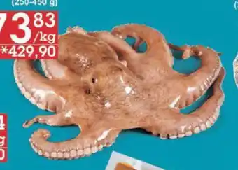 Jip Chobotnice velká květinový tvar nabídka