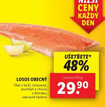 Lidl LOSOS OBECNÝ nabídka