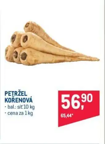 Makro PETRŽEL KOŘENOVÁ nabídka