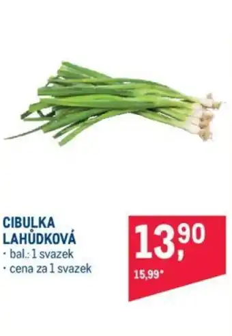 Makro CIBULKA LAHŮDKOVÁ nabídka